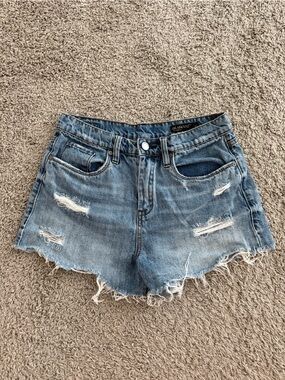 Blank NYC Denim Shorts